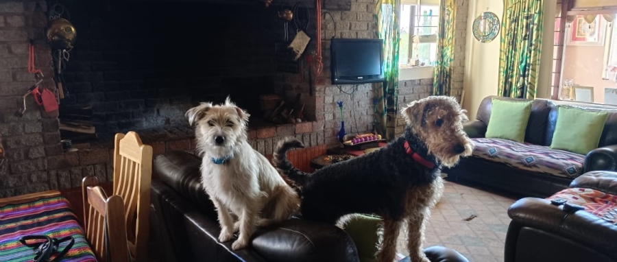 4 Bedroom Property for Sale in Aalwyndal Western Cape